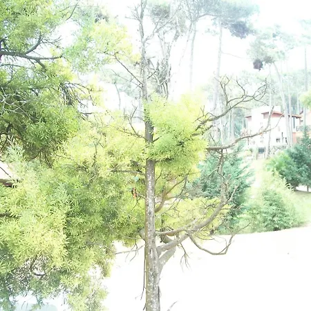 Apartamento Avutarda De Cariló Exterior foto
