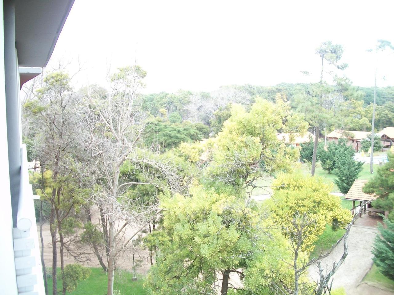 Apartamento Avutarda De